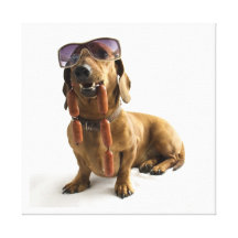 Lovely Dog  Stretched Canvas Print