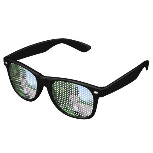 donkey sunglasses
