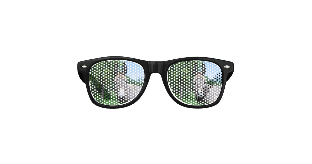 donkey sunglasses