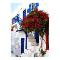 LOVELY FLOWERS POSTER posters