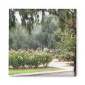 lovely garden magnets by DonnaGrayson_Photos lovely garden magnets