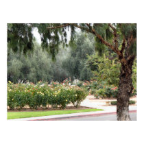 lovely garden posters by DonnaGrayson_Photos lovely garden posters