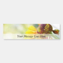 Lovely Golden Helenium Flowers Bumper Stickers