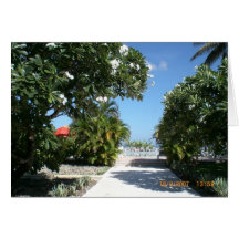 Lovely Greeting Cards by Jadavision
