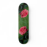 Lovely Hybrid Tea Rose 'Fragrant Cloud' Skateboards