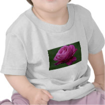 Lovely Hybrid Tea Rose 'Heirloom' T-shirts
