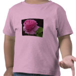 Lovely Hybrid Tea Rose 'Heirloom' Tshirt