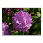 Lovely Lavender Rhododendron Greeting Card Lovely Lavender Rhododendron Greeting Card
