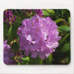 Lovely Lavender Rhododendron Mousepad