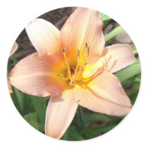 Lovely Lily stickers
