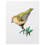 lovely little goldfinch bird flyers