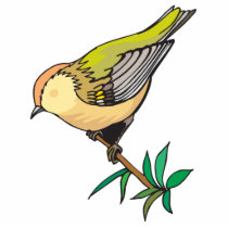lovely little goldfinch bird cut out