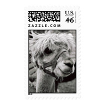 Lovely Llama postage