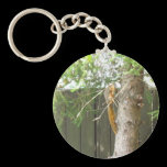 Lovely Long Tail keychains