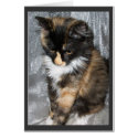 Lovely Lucy Bell, Cat Photo Card