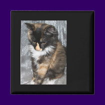 Lovely Lucy Bell magnets