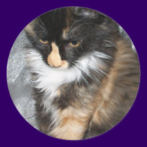 Lovely Lucy Bell stickers