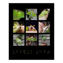 LOVELY LUNA posters by Tealtreasures LOVELY LUNA posters