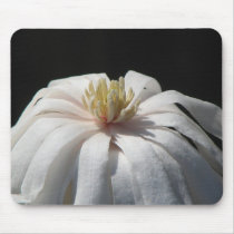 Lovely Magnolia Centennial  Bloom mousepads