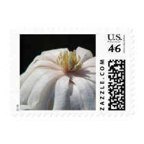 Lovely Magnolia Centennial  Bloom postage