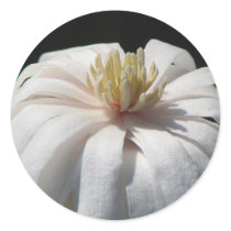 Lovely  Magnolia Centennial Bloom stickers