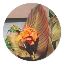 Lovely Orange Cannas Sticker stickers