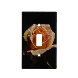 Lovely Orange Rose on Black Light Switch Plates