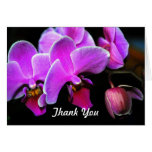 Lovely Orchid cards