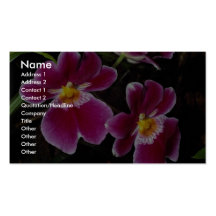 Lovely Orchid, mitonia-hybrid Business Card
