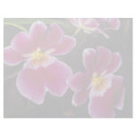 Lovely Orchid, mitonia-hybrid Personalized Letterhead