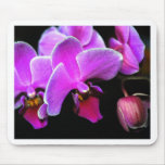 Lovely Orchid mousepads