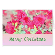 Lovely pink azalea flowers  holidays Christmas Card