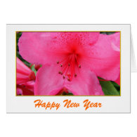 Lovely pink azalea  flowers New Year Cards