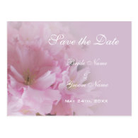 Lovely pink cherry blossom save the date wedding m postcard