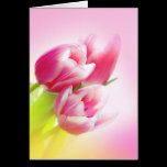 Lovely pink tulips cards