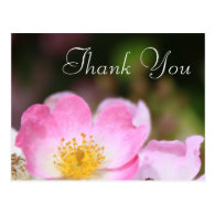 lovely pink wild rose flower wedding thank you post card
