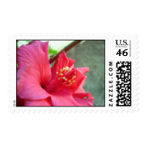 Lovely postage by lili1986 Lovely postage