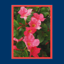 Lovely postcards by sumiko Lovely postcards
