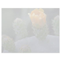 Lovely Prickly pear flower, Paphos, Cyprus Personalized Letterhead