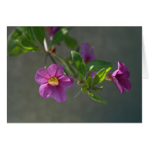 Lovely Purple Flowers Card