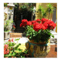 LOVELY RED FLOWERS IN CERAMIC POT POSTER posters