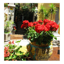 LOVELY RED FLOWERS IN CERAMIC POT POSTER posters