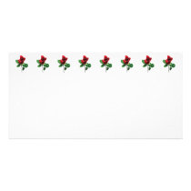 Lovely Red Rosebud Photo Cards