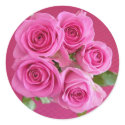 Lovely rose stickers by write2chinu Lovely rose stickers