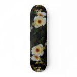 Lovely Shrub Rose 'Golden Wings' Skate Boards
