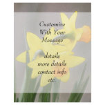 Lovely Spring Daffodils flyers
