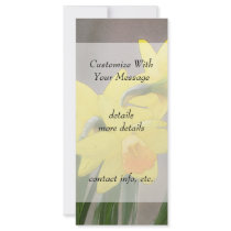 Lovely Spring Daffodils Rack Cards