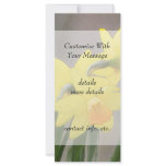 Lovely Spring Daffodils Rack Cards