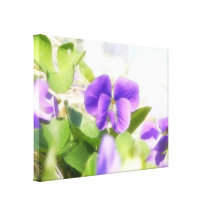 Lovely Spring Violet Canvas Print