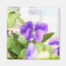 Lovely Spring Violet Fridge Magnets